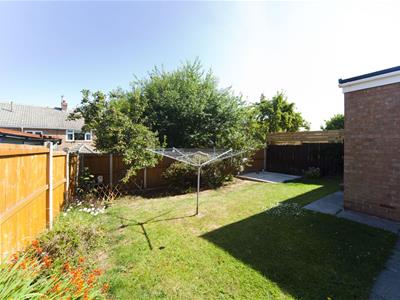 Picture 29